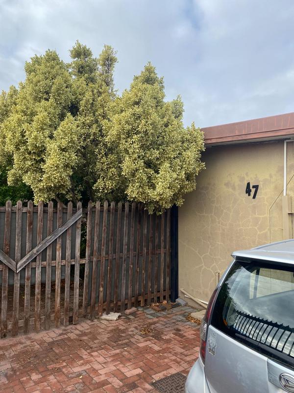 To Let 2 Bedroom Property for Rent in Windsor Park Western Cape